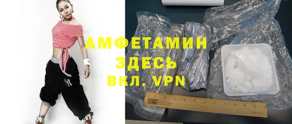 шишки Осташков
