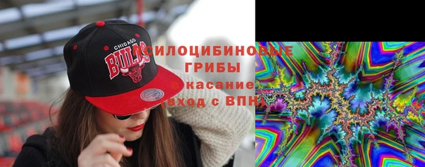 Альфа ПВП Покров