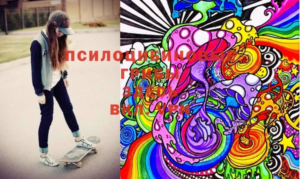 меф Пересвет