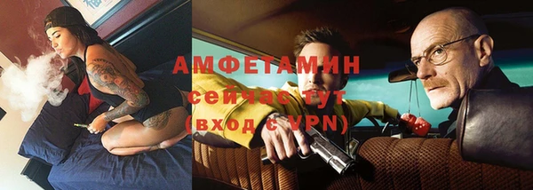 шишки Осташков