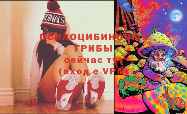 меф Пересвет