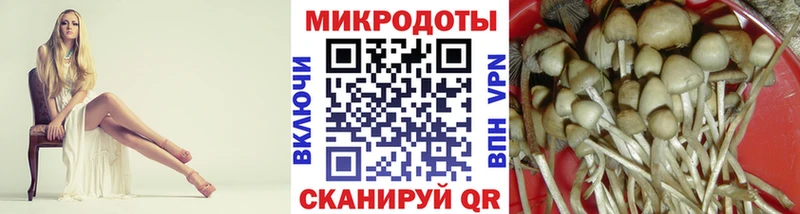 MEGA рабочий сайт  Новая Ляля  Галлюциногенные грибы Psilocybine cubensis 