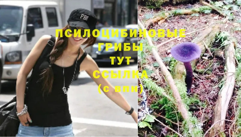 цены наркотик  MEGA онион  Галлюциногенные грибы Psilocybine cubensis  Новая Ляля 